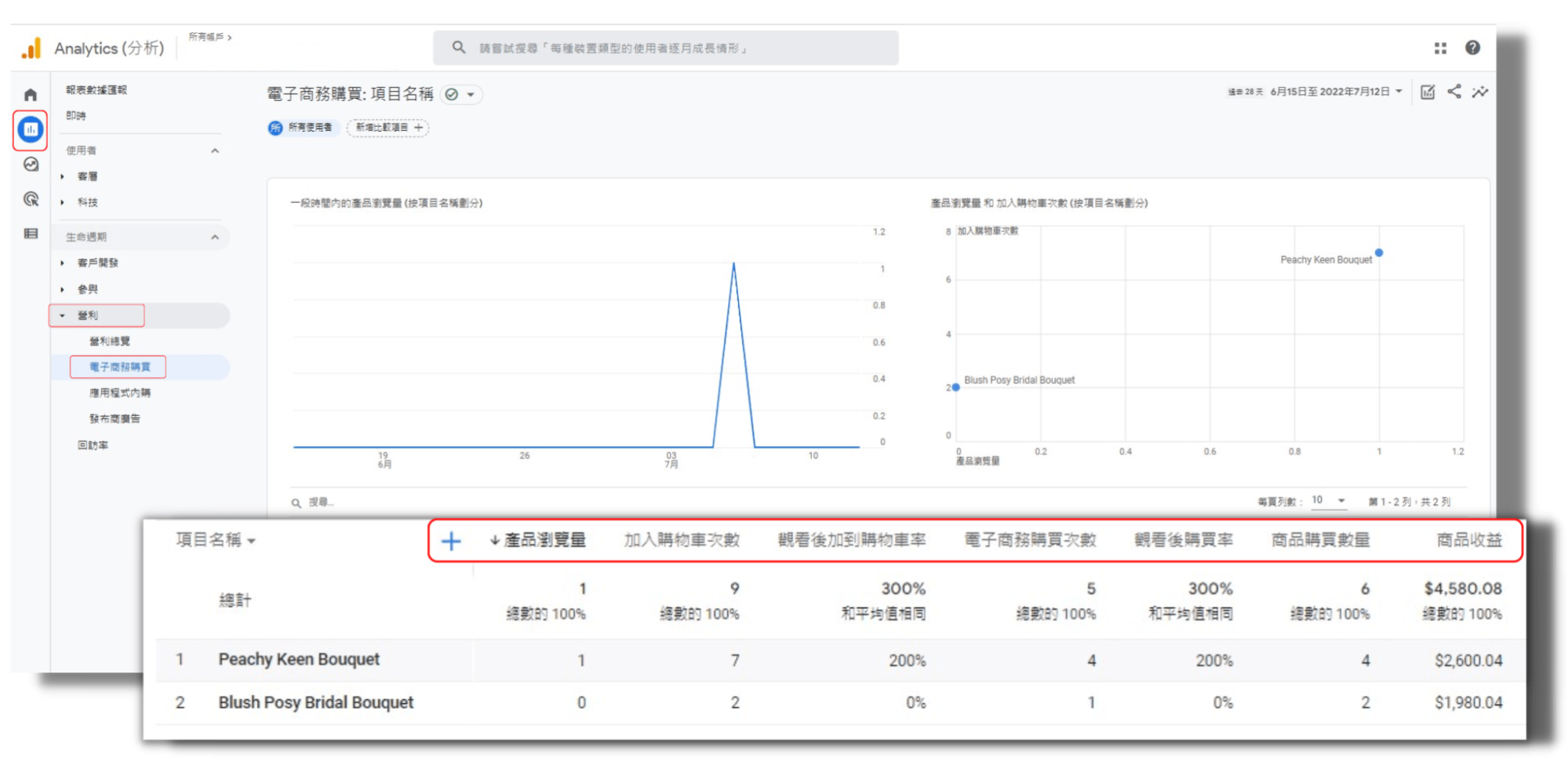  Storeberry | 【升級功能】簡易串接新版 Google Analytics (GA4) ，自動追蹤網店電子商務轉換情況 !  